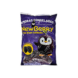 23000002 – FRUTA CONG AMORA NEWBERRY 10X1,02KG
